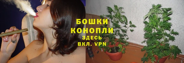 героин Покачи