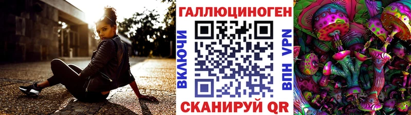 блэк спрут вход  Сосновка  Галлюциногенные грибы ЛСД 